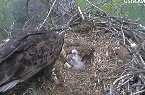 ScreenHunter_27 Mar. 31 12.30.jpg